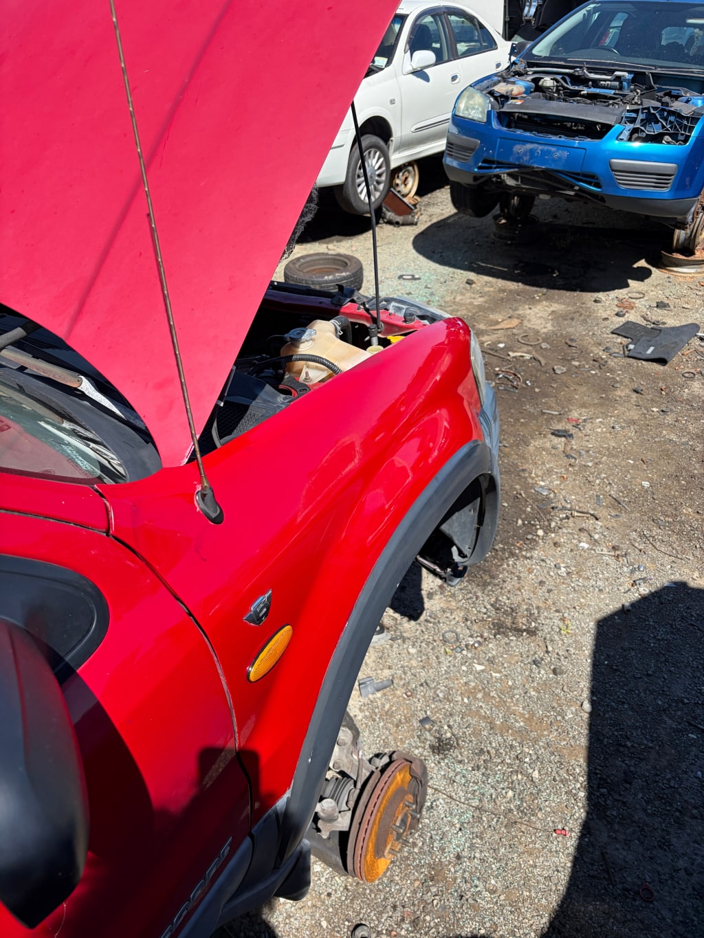 FadeFix™ Paint Restorer