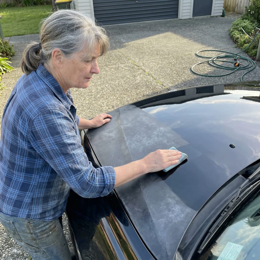 FadeFix™ Paint Restorer